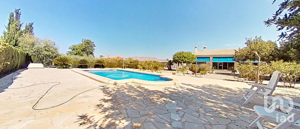 Cottage 4 bedrooms of 313 m² in Elx/Elche (03296)