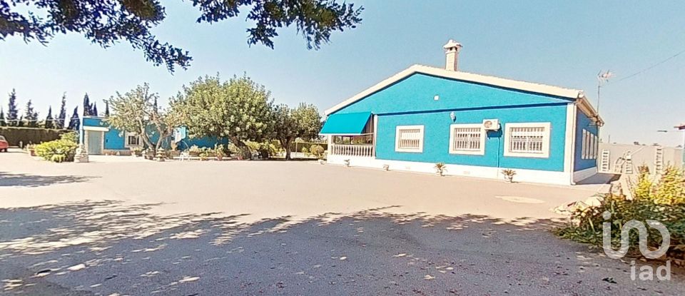 Cottage 4 bedrooms of 313 m² in Elx/Elche (03296)