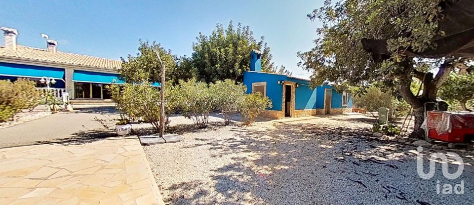 Cottage 4 bedrooms of 313 m² in Elx/Elche (03296)