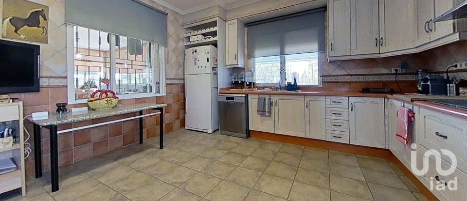 Cottage 4 bedrooms of 313 m² in Elx/Elche (03296)