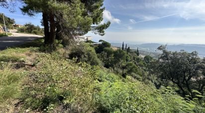 Land of 1,800 m² in Castell-Platja d'Aro (17249)