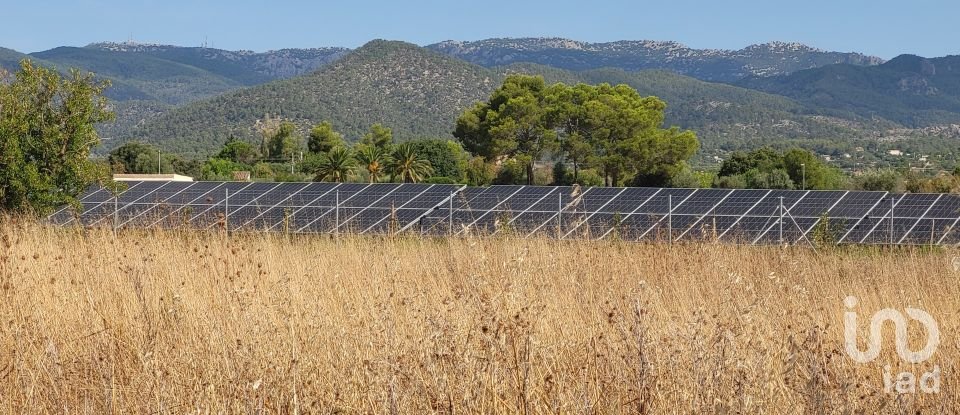 Land of 19,777 m² in Santa María del Camí (07320)