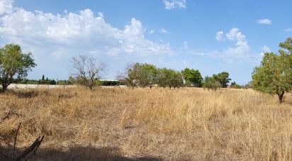 Land of 19,777 m² in Santa María del Camí (07320)