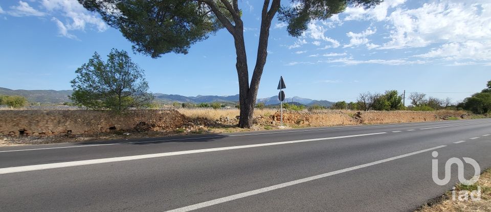 Land of 19,777 m² in Santa María del Camí (07320)