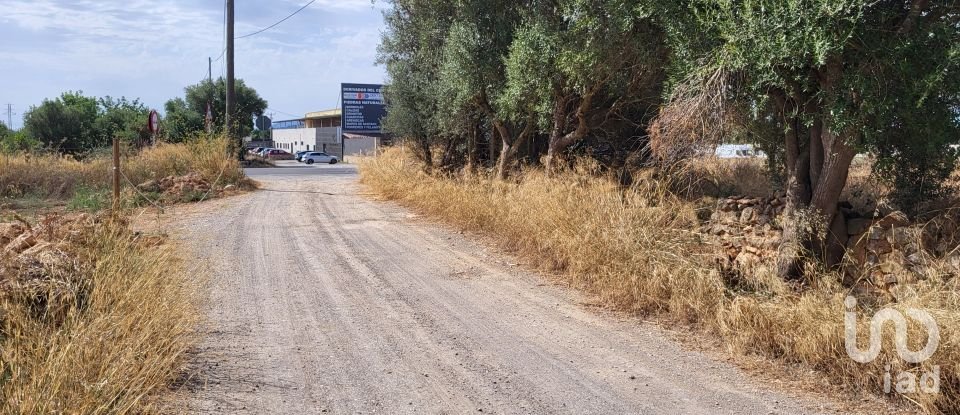 Land of 19,777 m² in Santa María del Camí (07320)