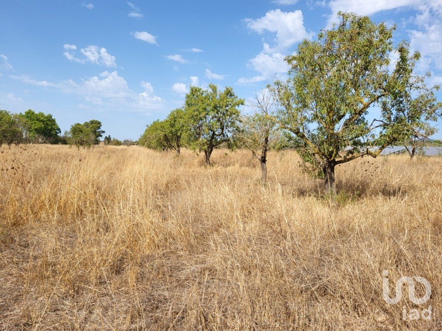 Land of 19,777 m² in Santa María del Camí (07320)