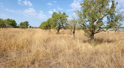 Land of 19,777 m² in Santa María del Camí (07320)