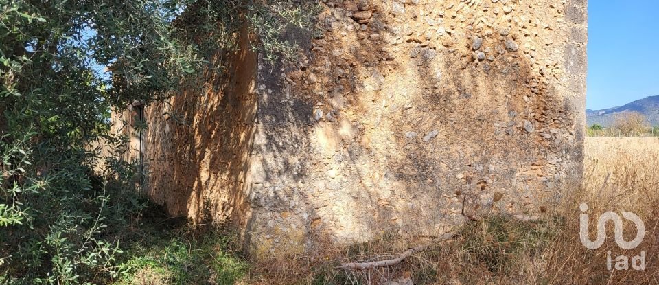 Land of 19,777 m² in Santa María del Camí (07320)