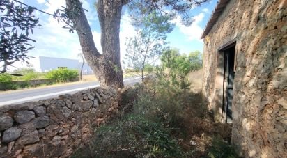 Terreny de 19.777 m² a Santa María del Camí (07320)