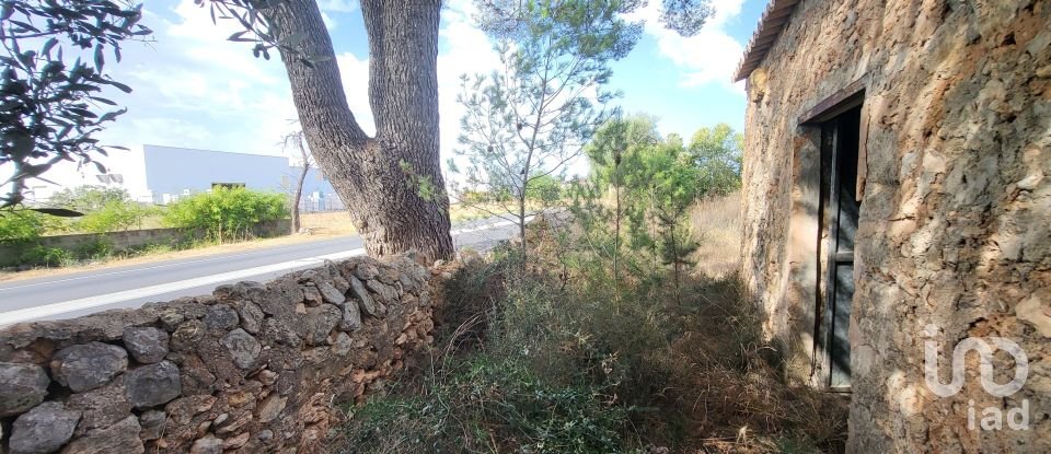 Land of 19,777 m² in Santa María del Camí (07320)