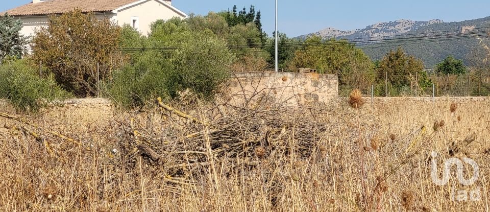 Land of 19,777 m² in Santa María del Camí (07320)