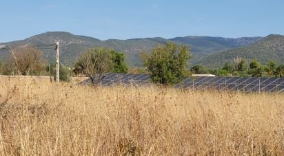 Land of 19,777 m² in Santa María del Camí (07320)