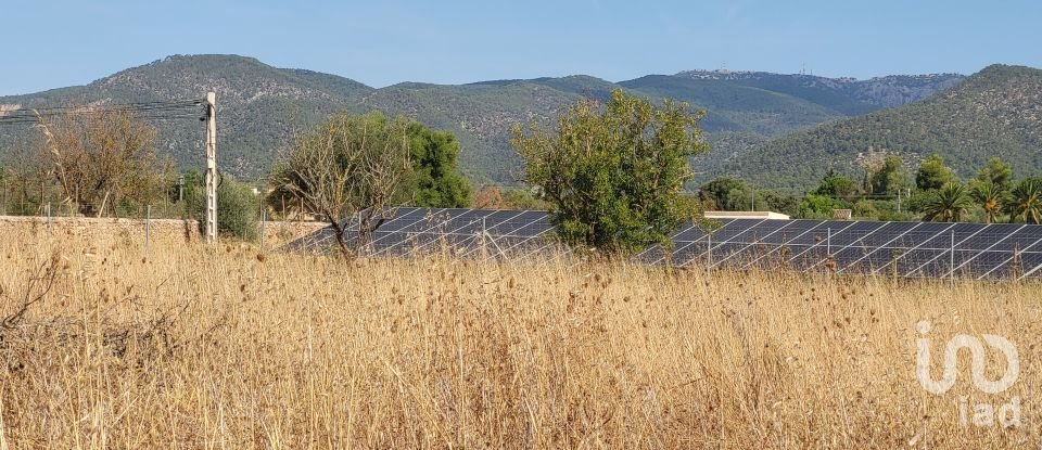 Land of 19,777 m² in Santa María del Camí (07320)