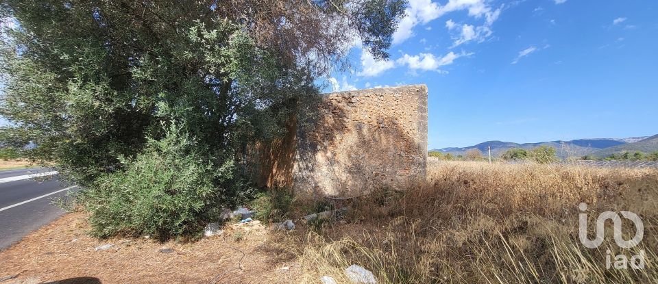 Land of 19,777 m² in Santa María del Camí (07320)