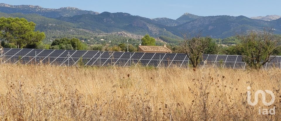 Land of 19,777 m² in Santa María del Camí (07320)