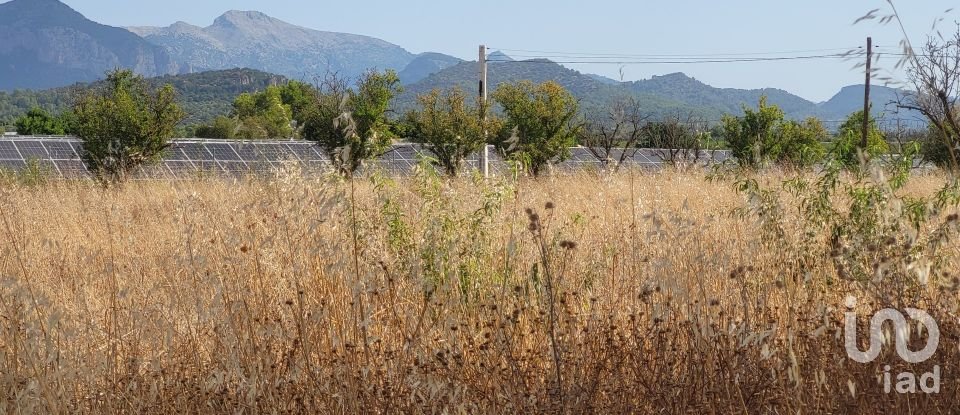 Land of 19,777 m² in Santa María del Camí (07320)