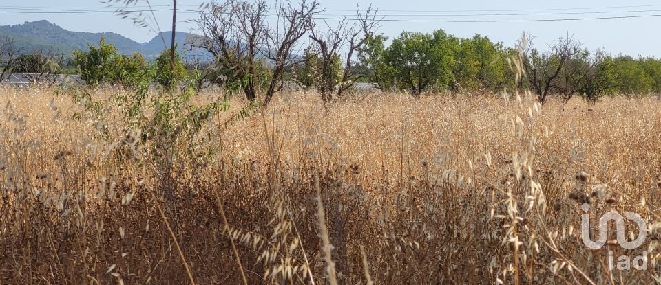 Land of 19,777 m² in Santa María del Camí (07320)