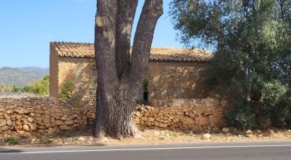 Terreny de 19.777 m² a Santa María del Camí (07320)