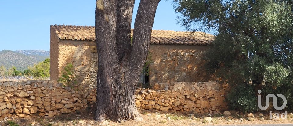 Land of 19,777 m² in Santa María del Camí (07320)