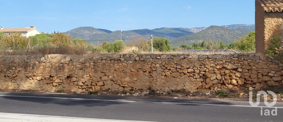 Land of 19,777 m² in Santa María del Camí (07320)