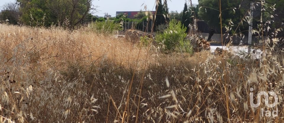 Land of 19,777 m² in Santa María del Camí (07320)