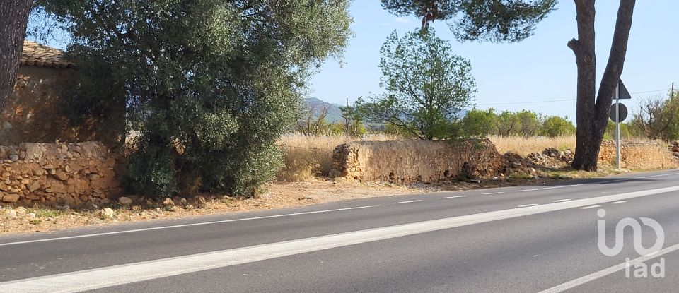 Land of 19,777 m² in Santa María del Camí (07320)