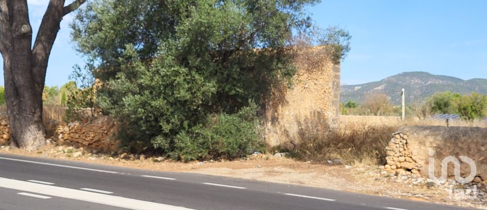 Land of 19,777 m² in Santa María del Camí (07320)