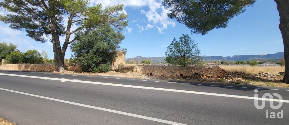 Land of 19,777 m² in Santa María del Camí (07320)