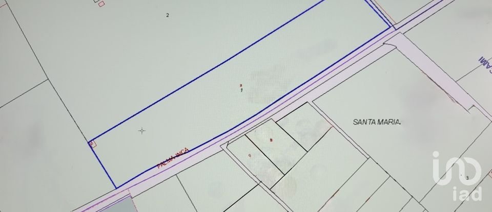Land of 19,777 m² in Santa María del Camí (07320)
