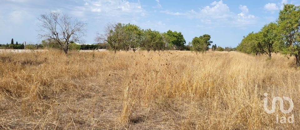 Land of 19,777 m² in Santa María del Camí (07320)