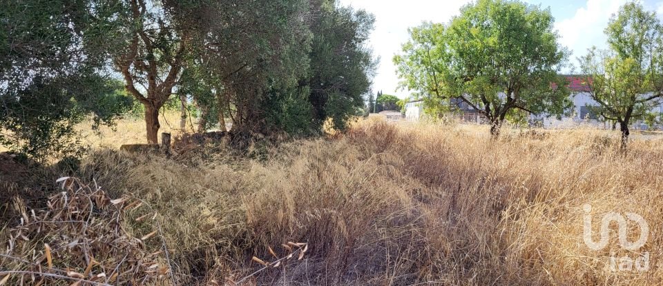 Land of 19,777 m² in Santa María del Camí (07320)