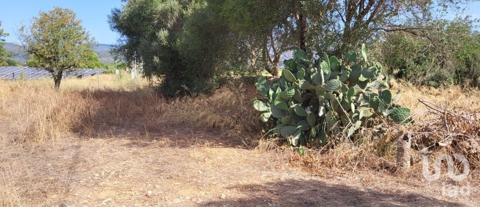 Land of 19,777 m² in Santa María del Camí (07320)