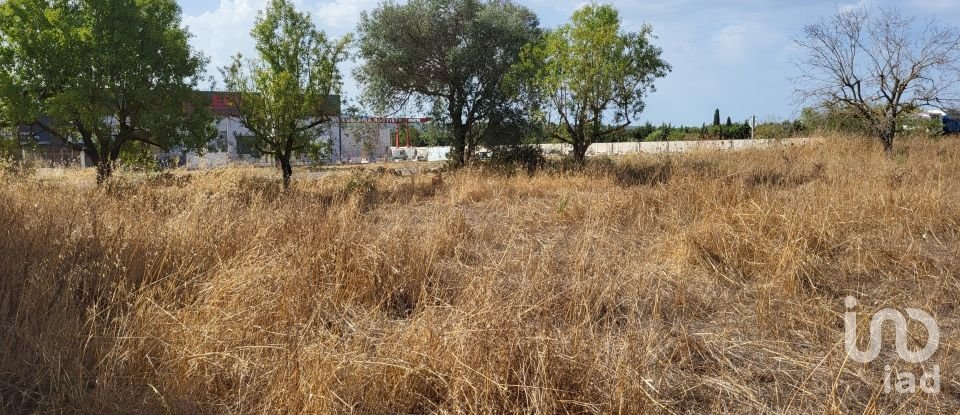 Land of 19,777 m² in Santa María del Camí (07320)