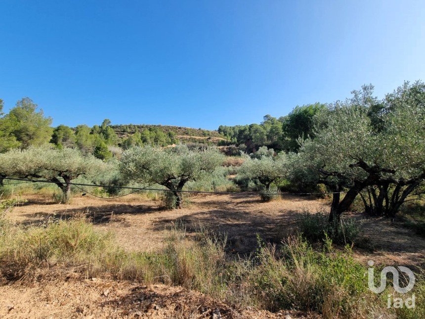 Land of 6,327 m² in Tivissa (43746)