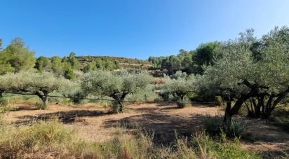 Land of 6,327 m² in Tivissa (43746)