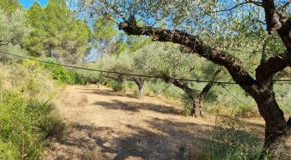 Land of 6,327 m² in Tivissa (43746)