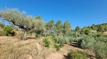 Land of 6,327 m² in Tivissa (43746)