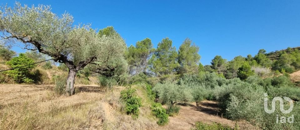 Land of 6,327 m² in Tivissa (43746)