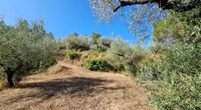 Land of 6,327 m² in Tivissa (43746)