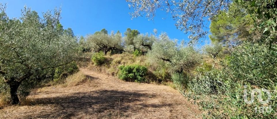 Land of 6,327 m² in Tivissa (43746)