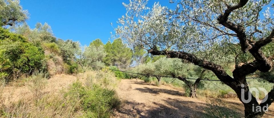 Land of 6,327 m² in Tivissa (43746)