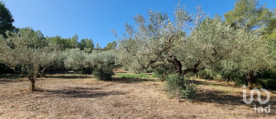 Land of 6,327 m² in Tivissa (43746)