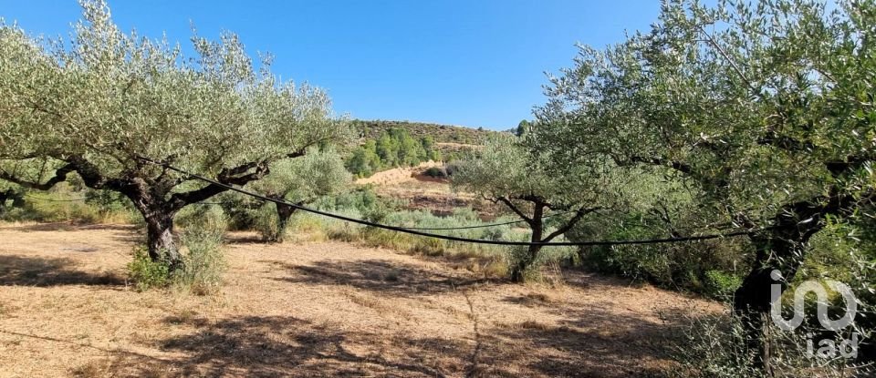 Land of 6,327 m² in Tivissa (43746)