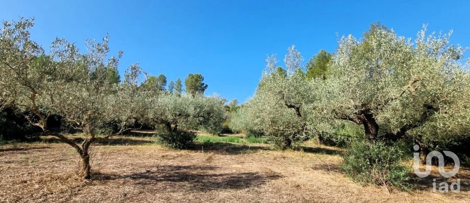 Land of 6,327 m² in Tivissa (43746)