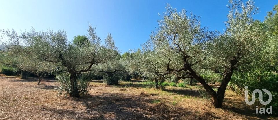 Land of 6,327 m² in Tivissa (43746)