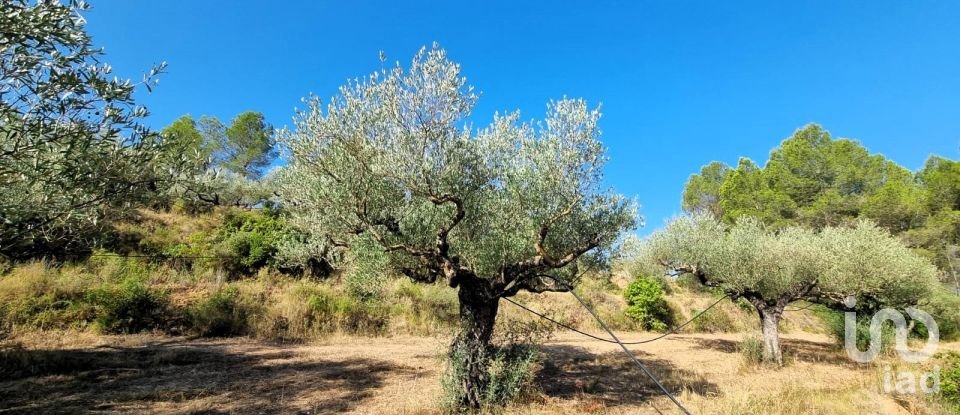 Land of 6,327 m² in Tivissa (43746)