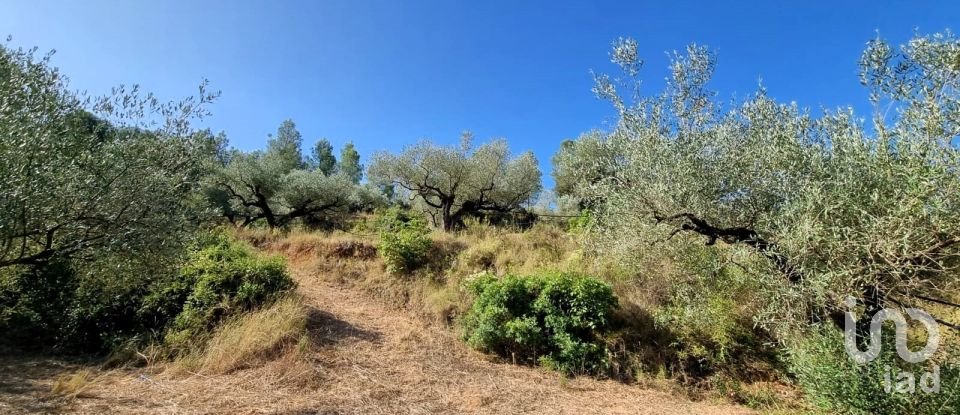 Land of 6,327 m² in Tivissa (43746)