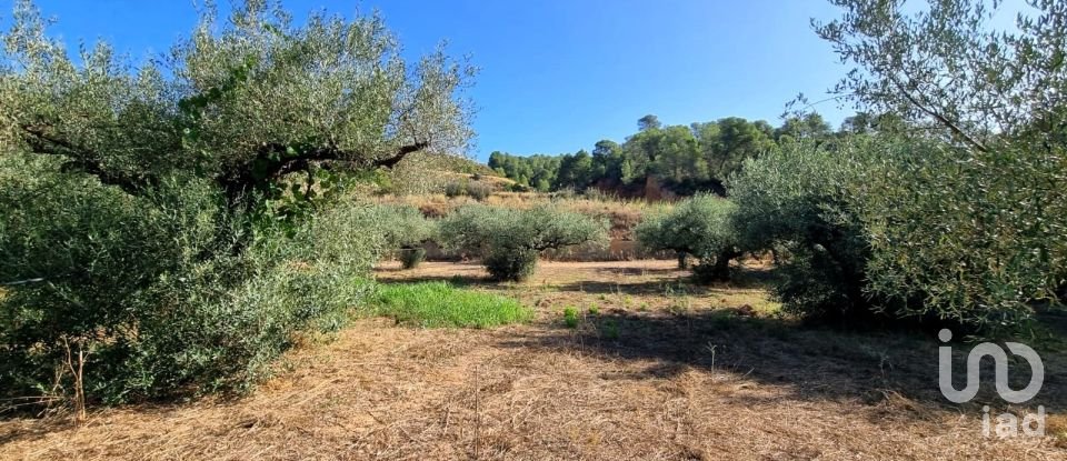 Land of 6,327 m² in Tivissa (43746)