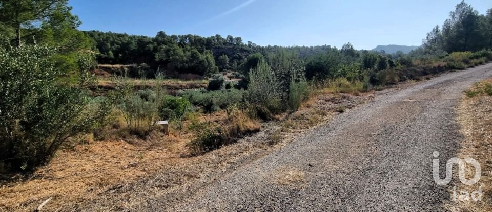 Land of 6,327 m² in Tivissa (43746)