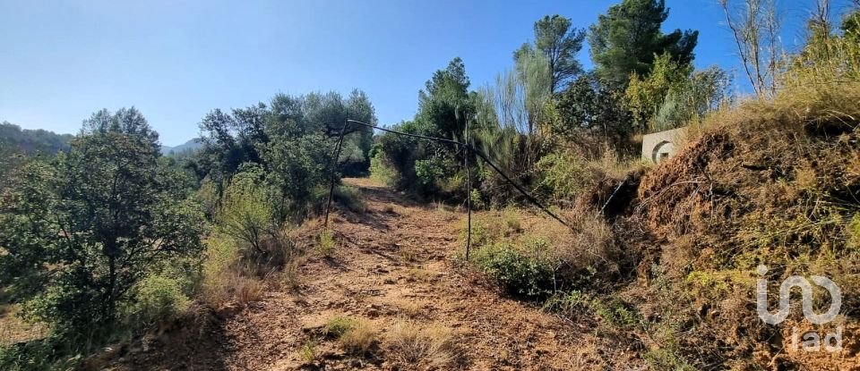 Land of 6,327 m² in Tivissa (43746)